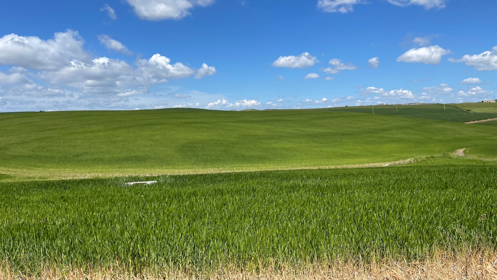 Guida Trattore e Rischi delle Macchine Agricole: Formazione Agricoltura