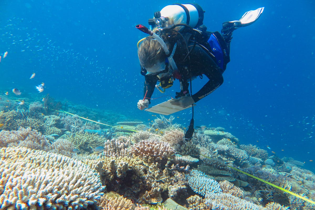 Consigli pratici per garantire la sicurezza ambientale e prevenire gli effetti nocivi dell'amianto