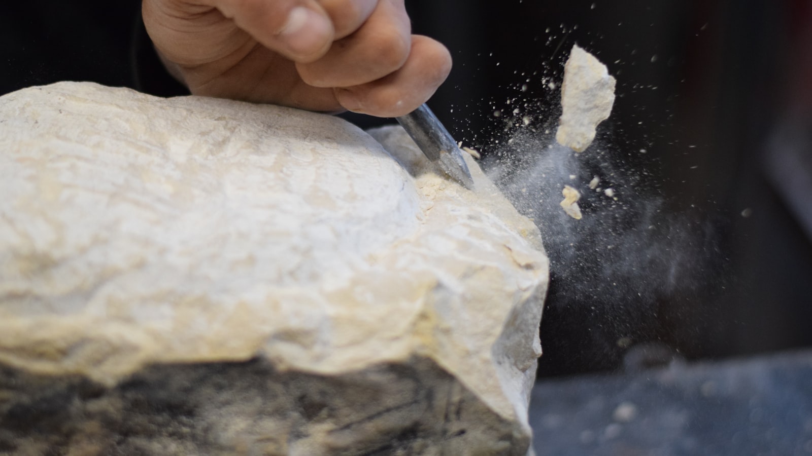 Manuale HACCP bar senza cucina: focus sul controllo dei rischi